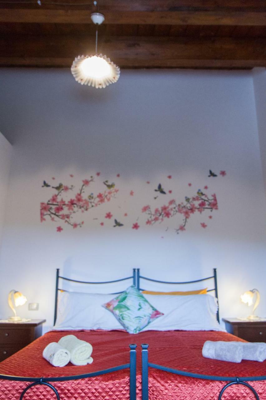 Bed and Breakfast Il Gladiolo à San Marcello  Extérieur photo